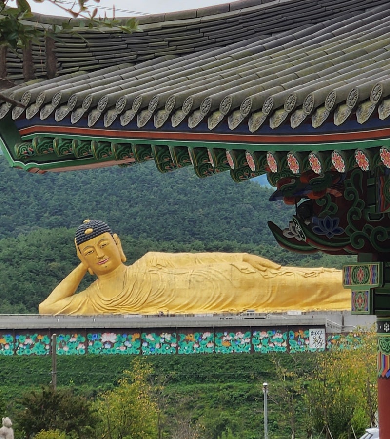 밀양 영산정사 황금 와불상 절 가볼 만한 곳 사찰 여행