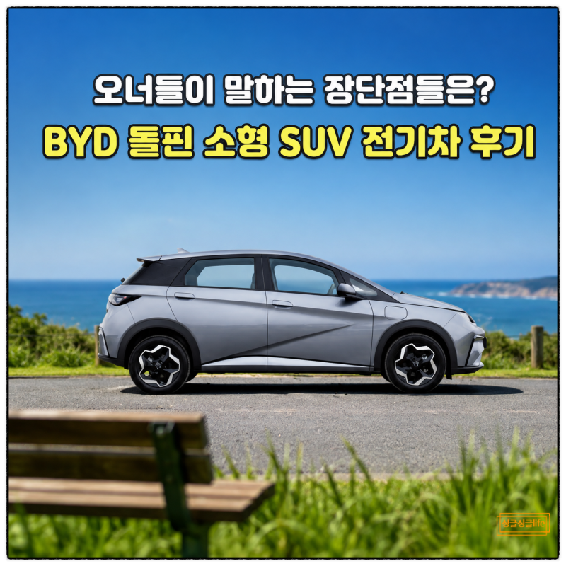 “오너들이 말하는 장단점” BYD 돌핀 소형 SUV 전기차 후기