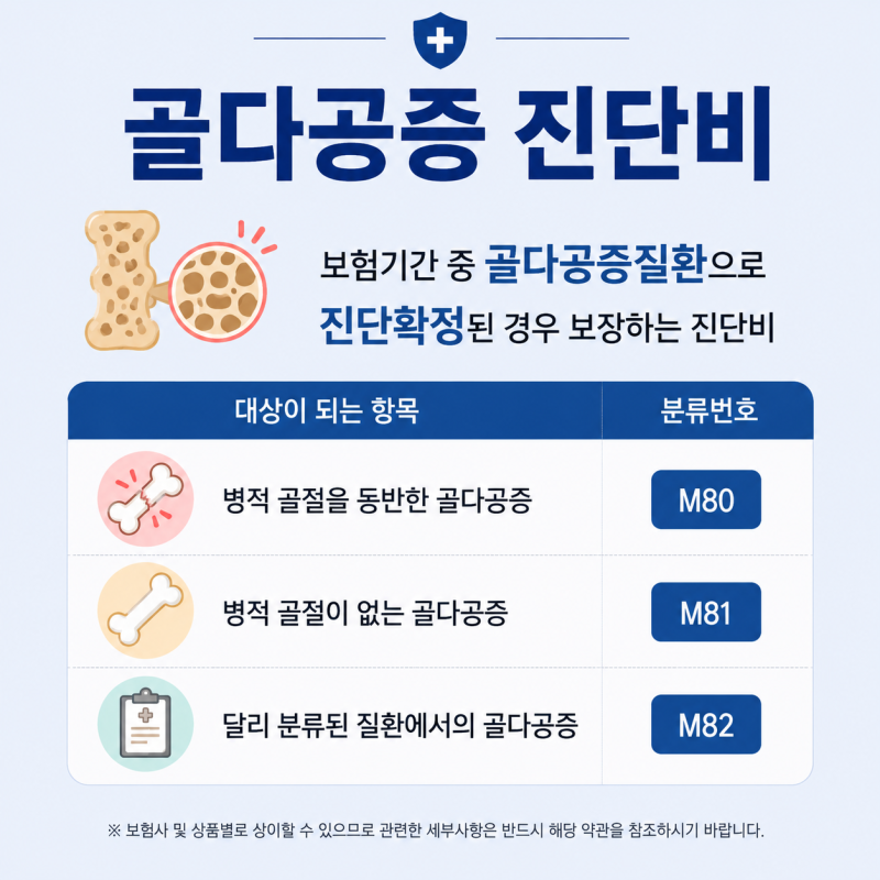 골다공증이란? 골밀도 검사부터 골다공증 진단비까지 알아보기