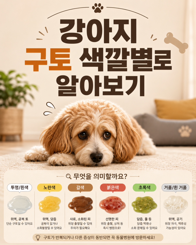강아지 구토 색깔별 원인｜노란색·흰색·갈색·초록색 토했을 때 꼭 확인하세요