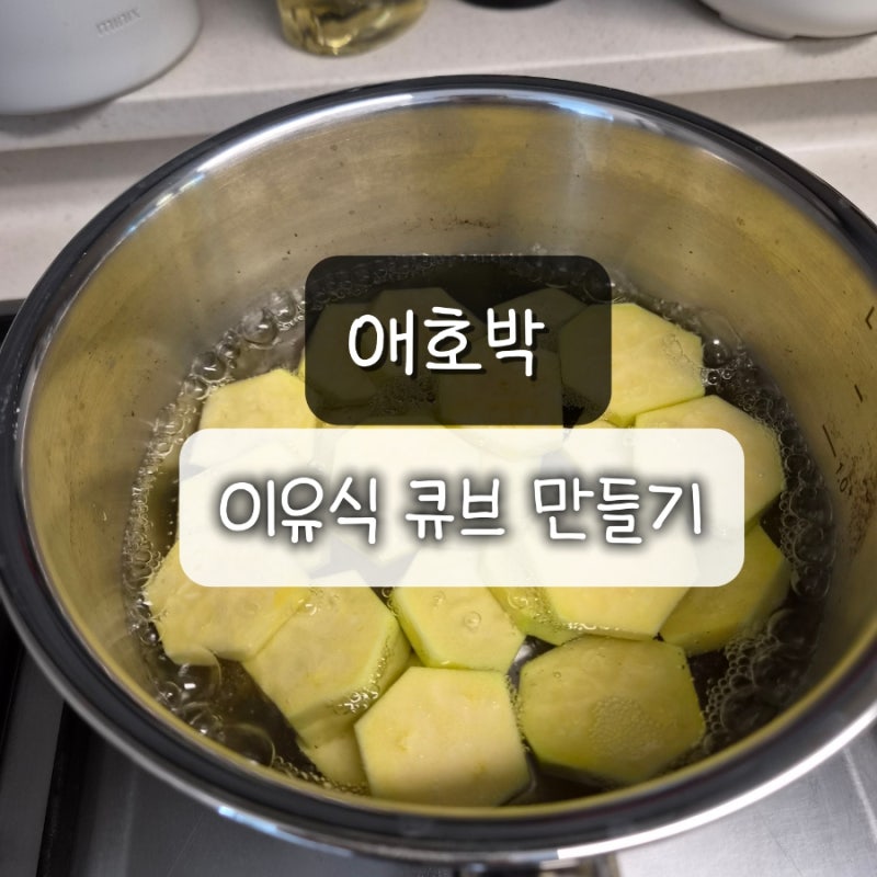 이유식 초기 중기 애호박 큐브 만들기