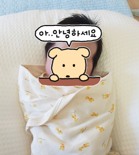 태아보험 순위비교 사이트 사은품 비교 다이렉트 가입시기 내돈내산 추천! (현대해상, 메리....