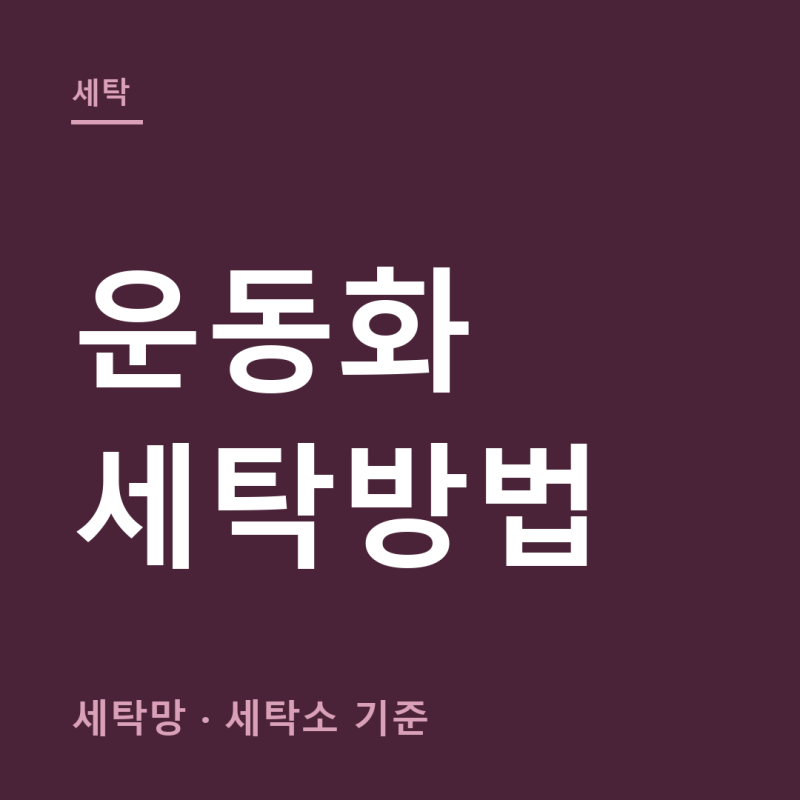 운동화 세탁방법 총정리 (+세탁망, 세탁소 맡기는 기준)