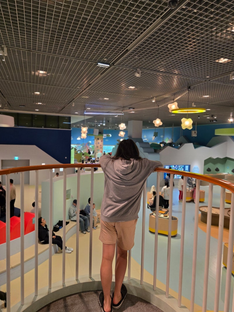 국립중앙박물관 어린이박물관 용산 어린이박물관 주말 당일 예약 후기