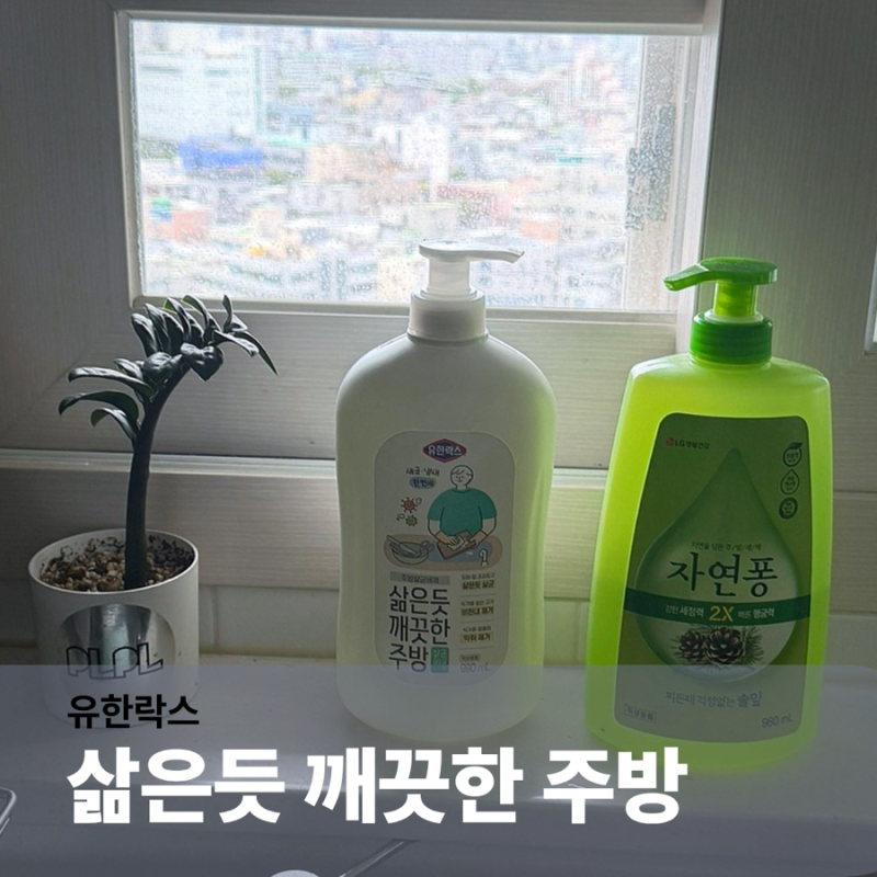 주방세제만으로 부족했던 주방 위생관리, 유한락스 삶은듯 깨끗한 주방 사용 후기