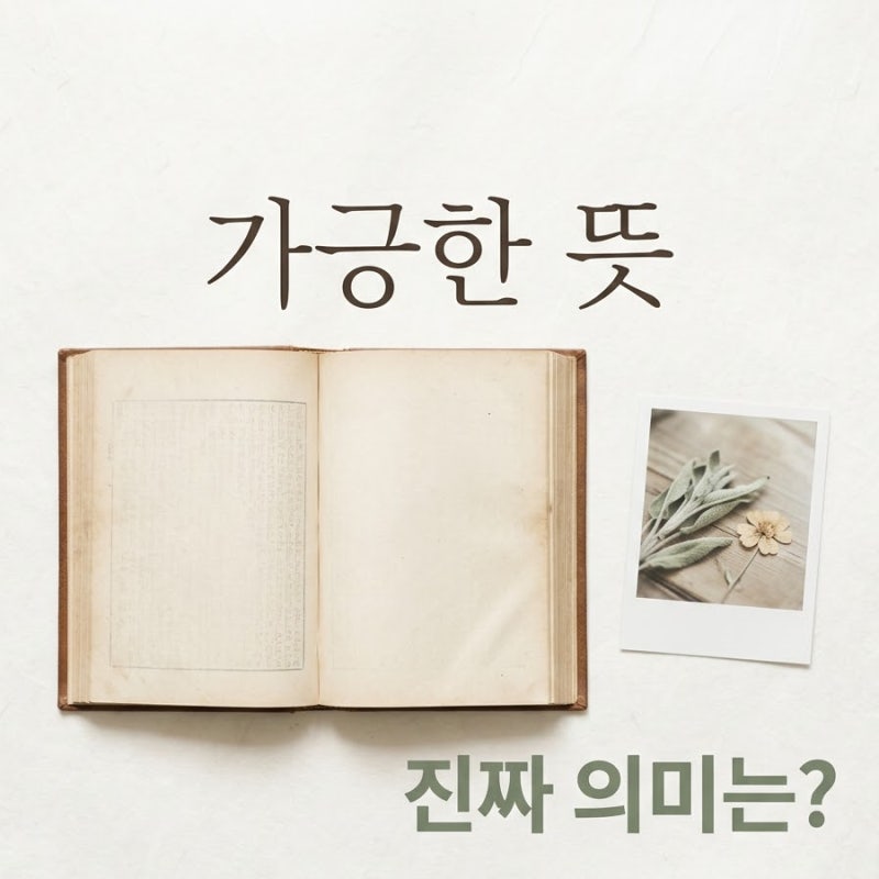 알고 보니 조롱의 의미? 김여정 담화 속 '가긍한 처지' 뜻 찾아보고 놀란 이유