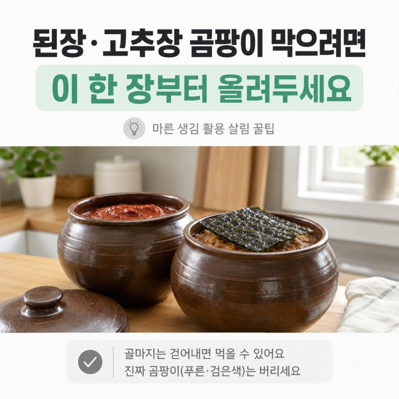 헉 고추장 흰 막, 곰팡이 아니었다고요? 지금 바로 확인하세요