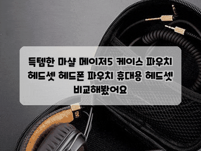 득템한 마샬 메이저5 케이스 파우치 헤드셋 헤드폰 파우치 휴대용 헤드셋 비교해봤어요