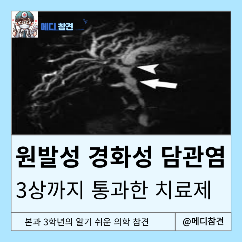 PSC 의학용어 primary sclerosing cholangitis UC IBD