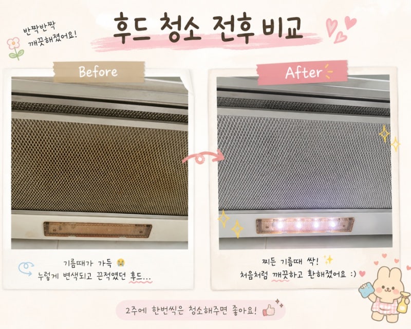다이소 주방 후드클리너 단종? 솔직 리뷰 자취방 후드청소 전후비교 내돈내산 대체템 살림백....