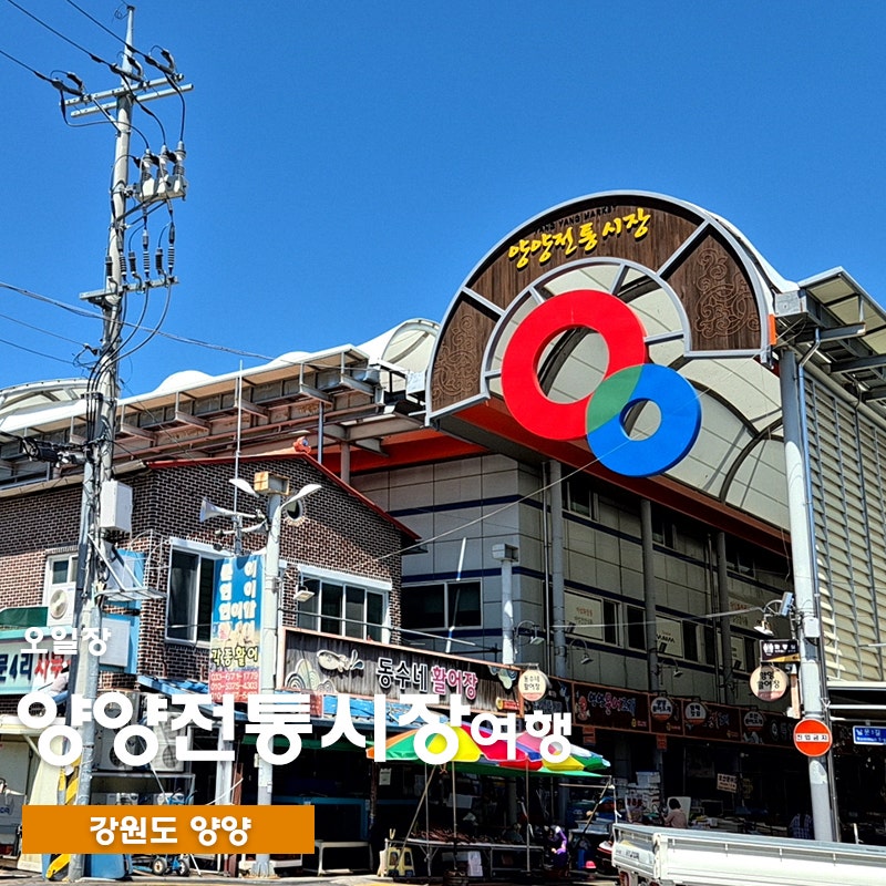 양양전통시장 4일·9일 오일장 먹거리 주차장 영업시간