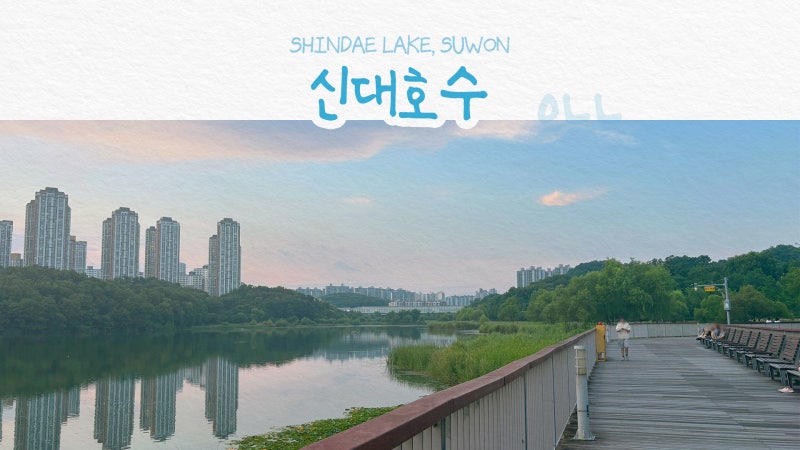 수원 가볼 만한 곳, 신대호수 주차 꿀팁과 광교호수공원 야경 데이트