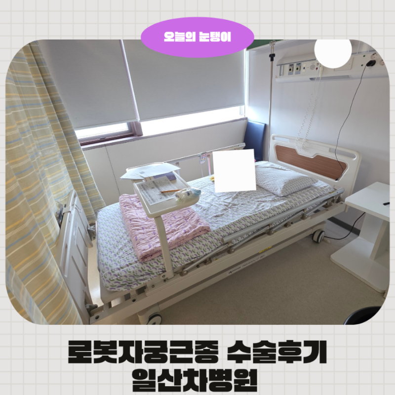 로봇 자궁근종제거 수술후기 일산차병원 4인실후기