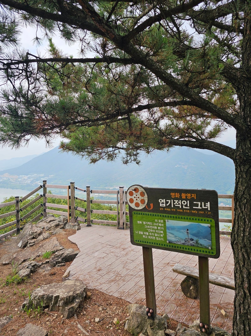 20260822 양산 오봉산 나 홀로 산행