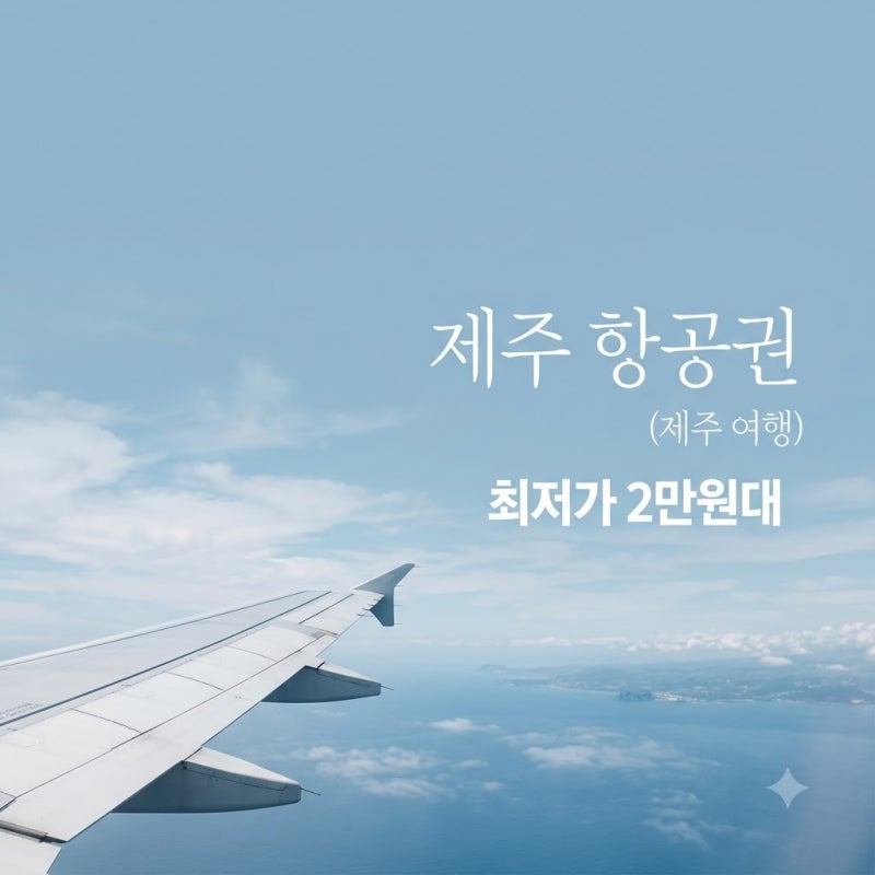 Daegu-Jeju Flights Drop to 20,000 KRW? Unbelievable Prices You'll Regret Missing