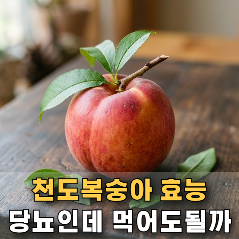 "당뇨인데 먹어도 되나요" 천도복숭아 효능과 부작용 따져봤습니다