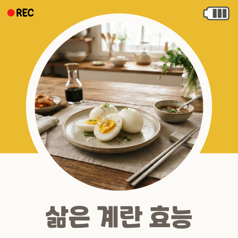 삶은 계란 효능 및 칼로리 다이어트할 때 하루 몇 개가 적당할까