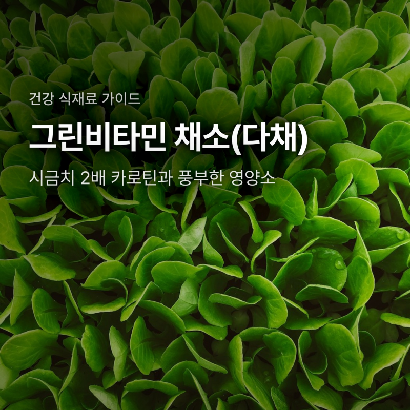 그린비타민 채소 효능과 영양, 시금치 2배 카로틴 섭취·보관법