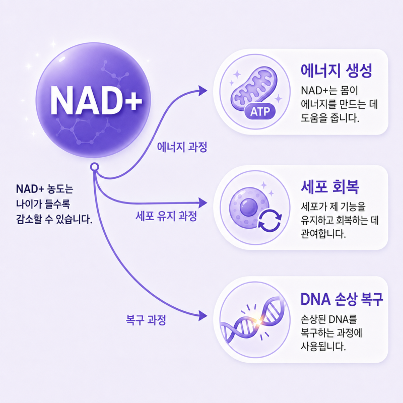 마린시티 면역수액 총정리, 종류·가격대·나드 주사까지 한 번에 정리했습니다