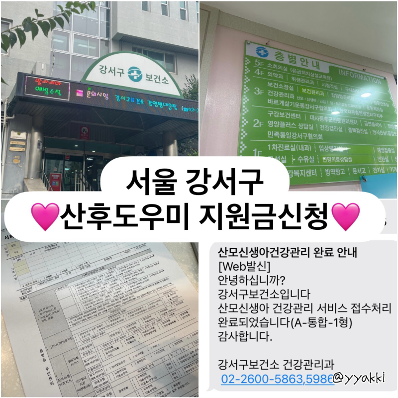 [임신36주] 서울 강서구 산후도우미 정부지원금 신청방법 (보건소방문,지원유형,산모신생아 ....