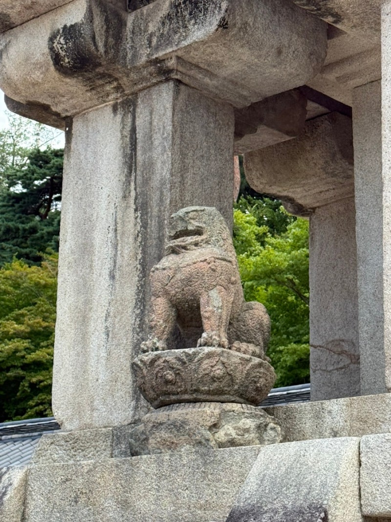 경주 여행 불국사 석가탑 다보탑 입장료 주차비 운영시간