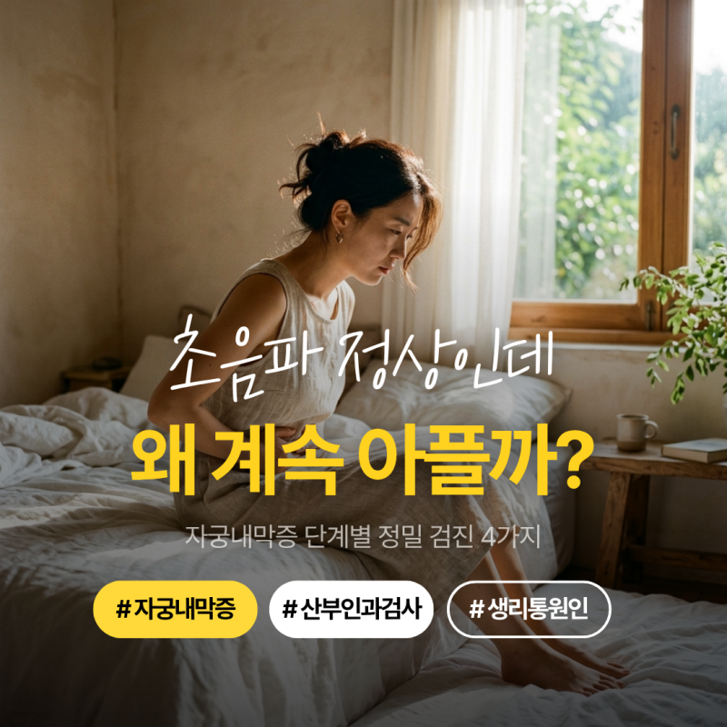자궁내막증 검사, 초음파 정상인데 계속 왜 아플까? 정확한 원인 찾는 정밀 검사 4가지