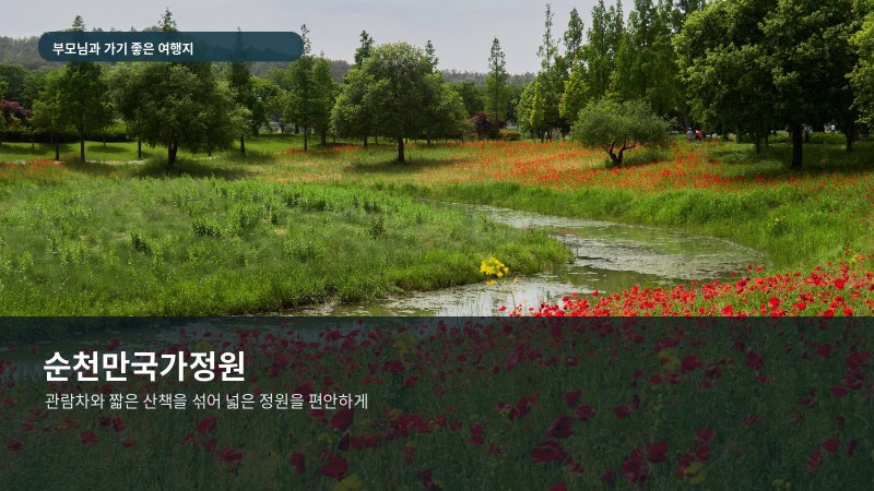 부모님과 순천만국가정원｜관람차로 걷는 거리 줄이는 반나절 코스