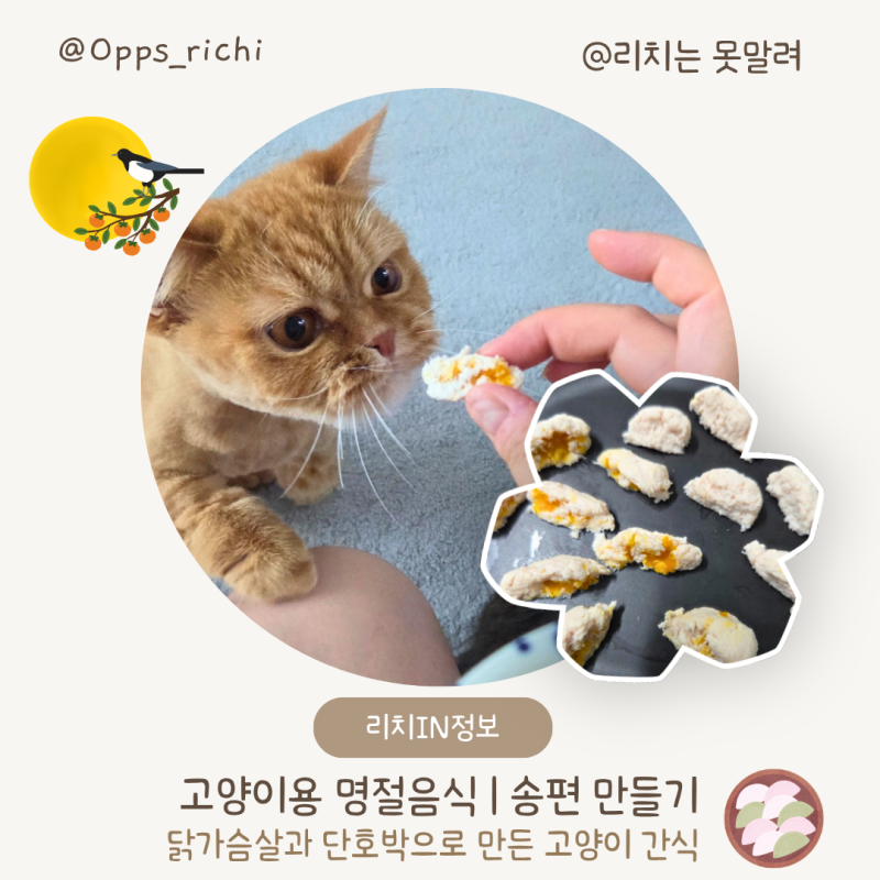 고양이용 명절 음식 송편 만들기 | 닭가슴살로 송편 수제 간식