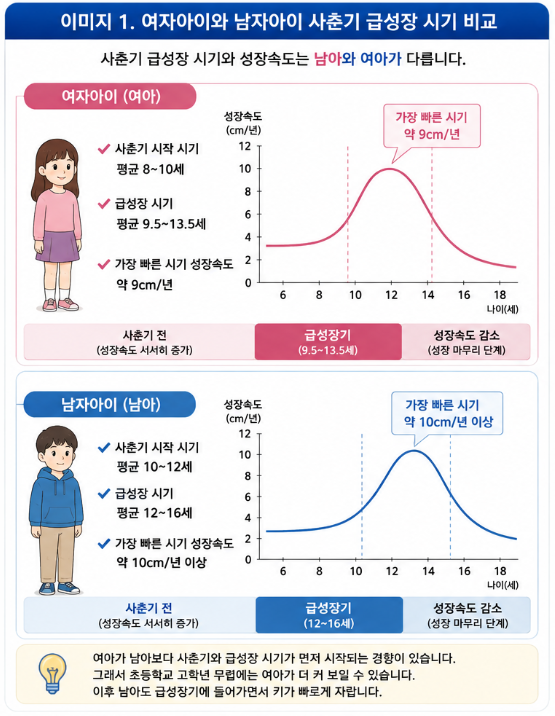 남자아이·여자아이 키 성장 시기는 언제 다를까? 사춘기 급성장 시기 비교