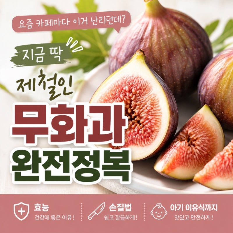 요즘 카페마다 이거 난리던데? 지금 딱 제철인 무화과 완전정복 (효능·손질법·아기 이유식....