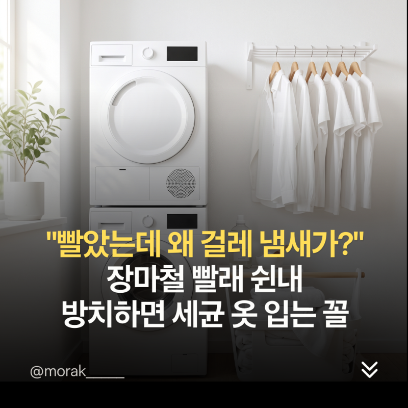 "빨았는데 왜 걸레 냄새가?" 비오는 날 실내 건조 빨래 쉰내 없애는 법, 방치하면 세균 옷 입....