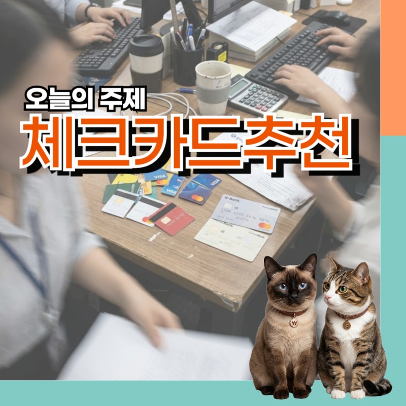 20대 30대 체크카드 추천 신용카드보다 좋다는 TOP6 체크카드로 갈아탄 이유 혜택 비교