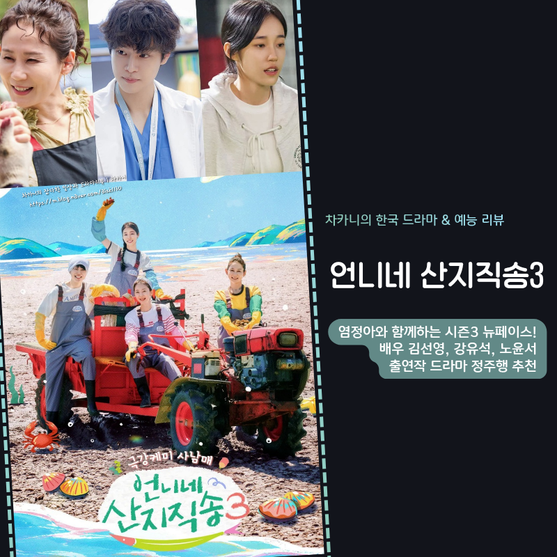 언니네 산지직송3 새 멤버, 본업 천재! 김선영·강유석·노윤서 필모 정주행 드라마 추천 (넷....