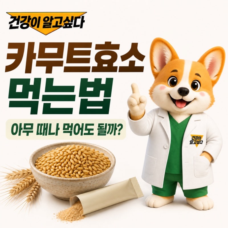 카무트효소 먹는법, 아무 때나 먹어도 될까? 카무트 효능까지
