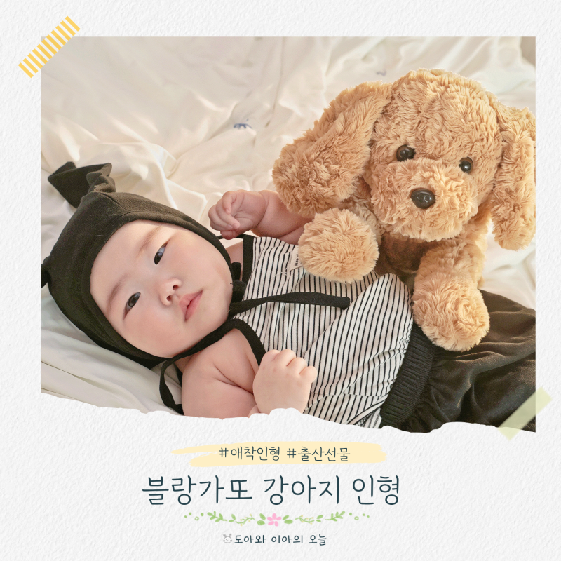 애착인형 출산선물로 좋은 블랑가또 강아지인형 후기 & 세탁법