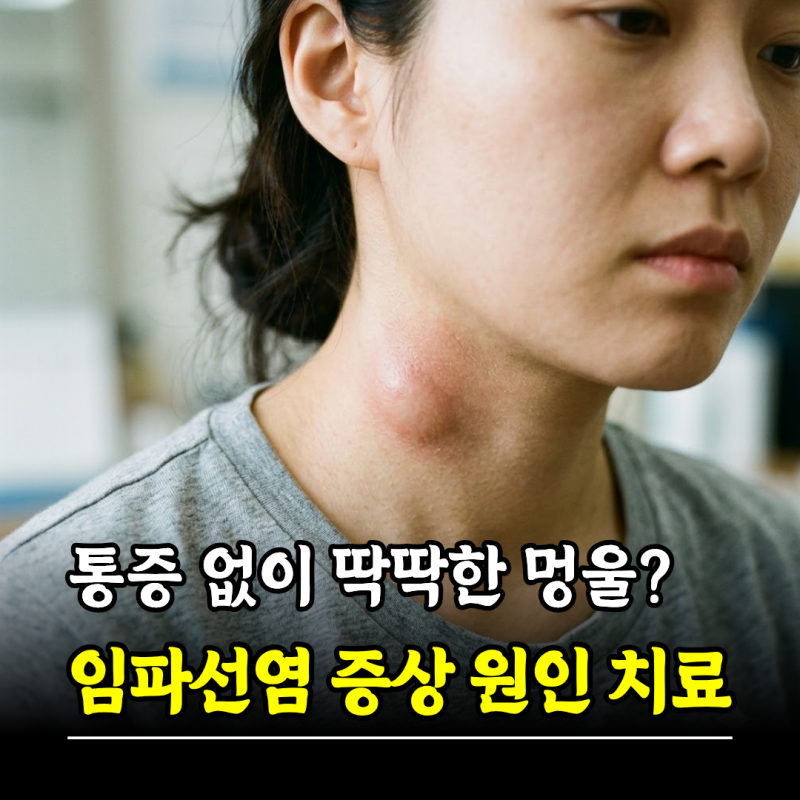통증 없이 딱딱한 멍울? 임파선염 증상 원인 치료 (결핵성임파선염)