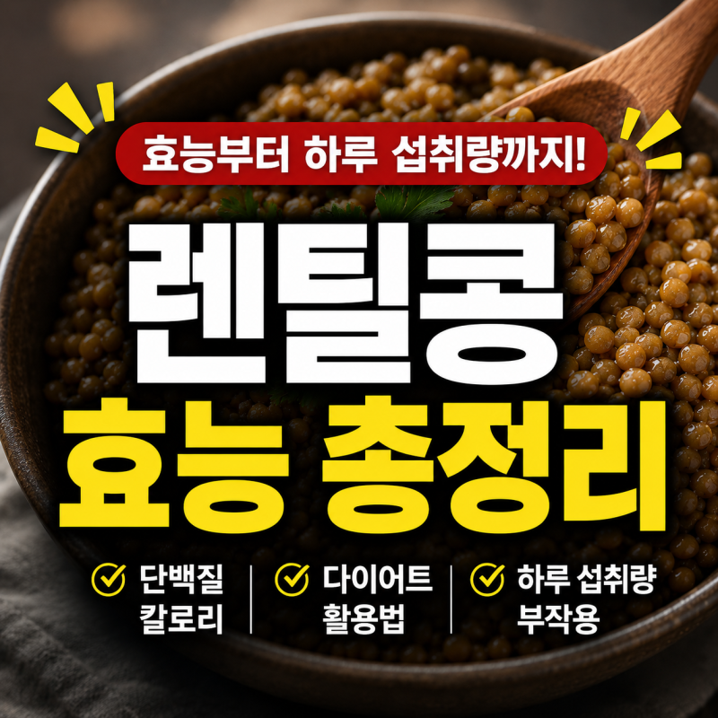 렌틸콩 영양성분과 효능 총정리! 단백질, 칼로리부터 다이어트, 하루 섭취량, 부작용까지