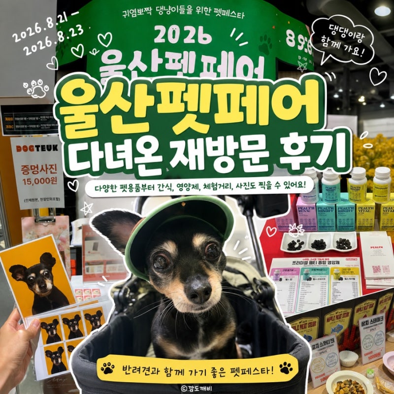 2026 울산 펫페어 사전등록 펫페스타 재방문 후기