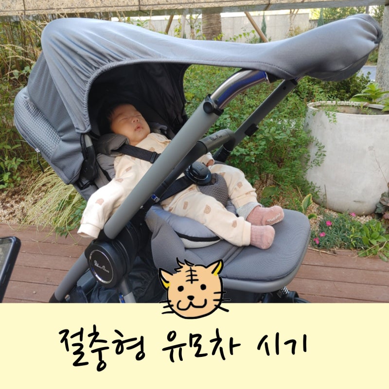 절충형 유모차 시기 판매순위 Top5 정리해봤어요