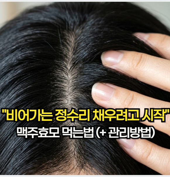 맥주효모 효능 "비어가는 정수리 채우려고 시작한" 맥주효모 먹는 법(+ 관리 방법)