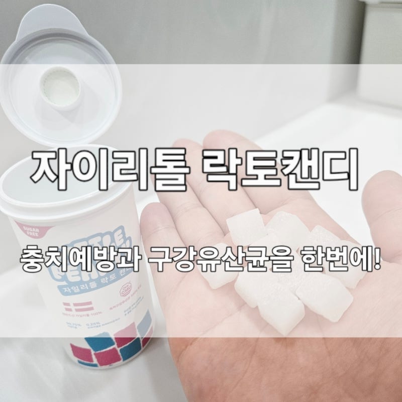 [리뷰] 리틀펄리 자일리톨캔디 : 양치 후 충치예방과 구강유산균을 한번에!