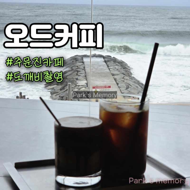 강릉 주문진 오션뷰 대형카페 도깨비 촬영지 오드커피