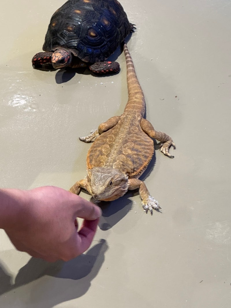 Busan Weekend with Baby: Dongbusan Outlet Indoor Insectarium, Fun Activities for Kids