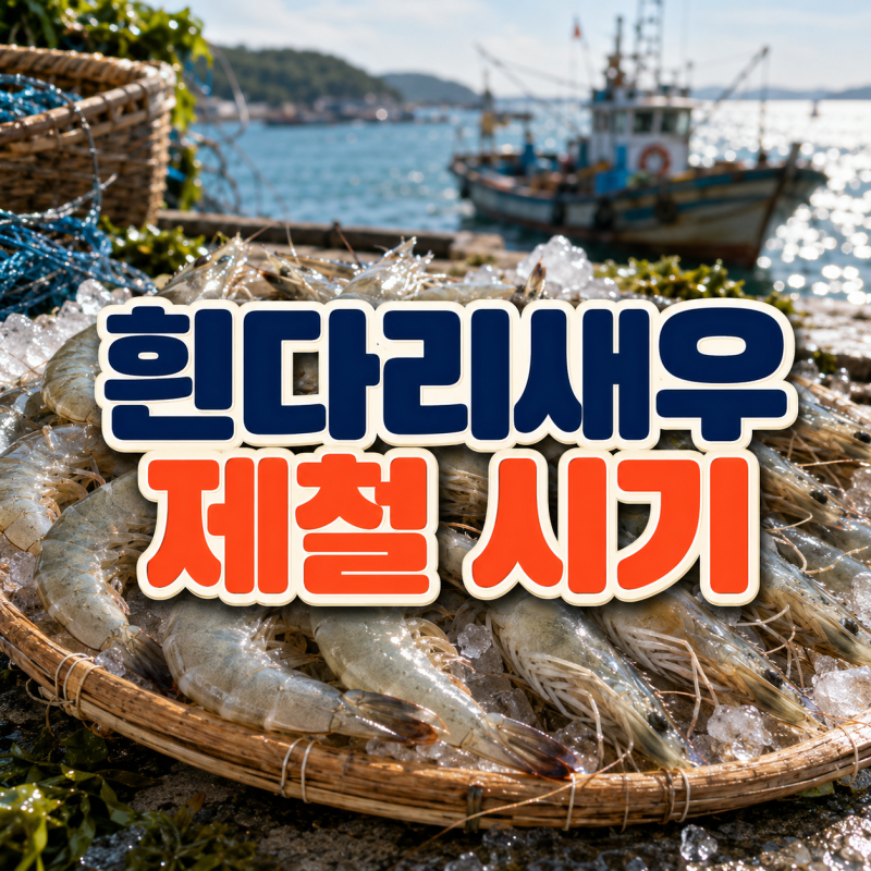 가을 흰다리새우 언제 가장 맛있을까? 손질과 냉동 방법