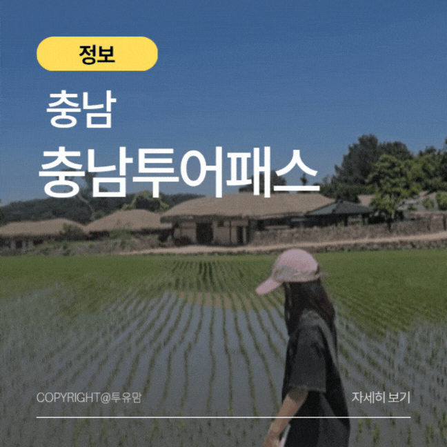 충남투어패스로 떠나는 충남여행 2026년 최신정보 총정리