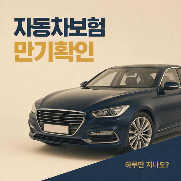 자동차보험 만기확인, 하루만 지나도 과태료일까?