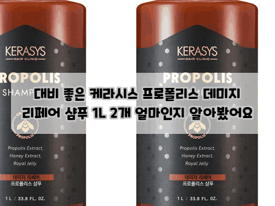 대비 좋은 케라시스 프로폴리스 데미지 리페어 샴푸 1L 2개 얼마인지 알아봤어요