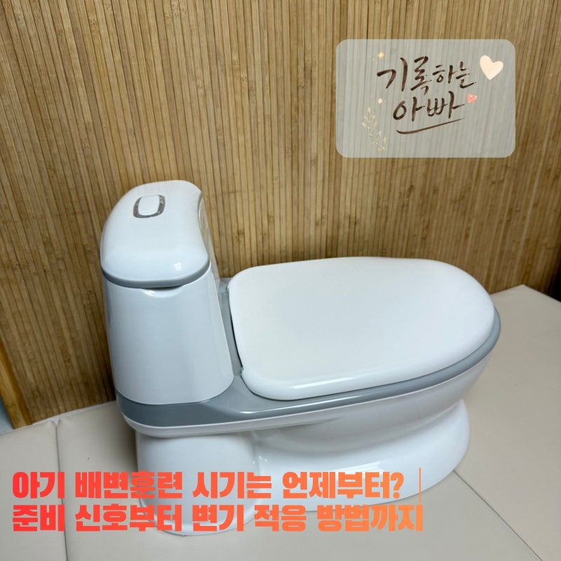 아기 배변훈련 시기는 언제부터?｜준비 신호부터 변기 적응 방법까지
