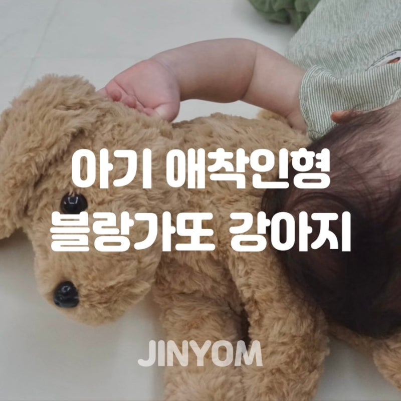 블랑가또 강아지 인형 스몰 후기 아기 애착인형 시기 추천