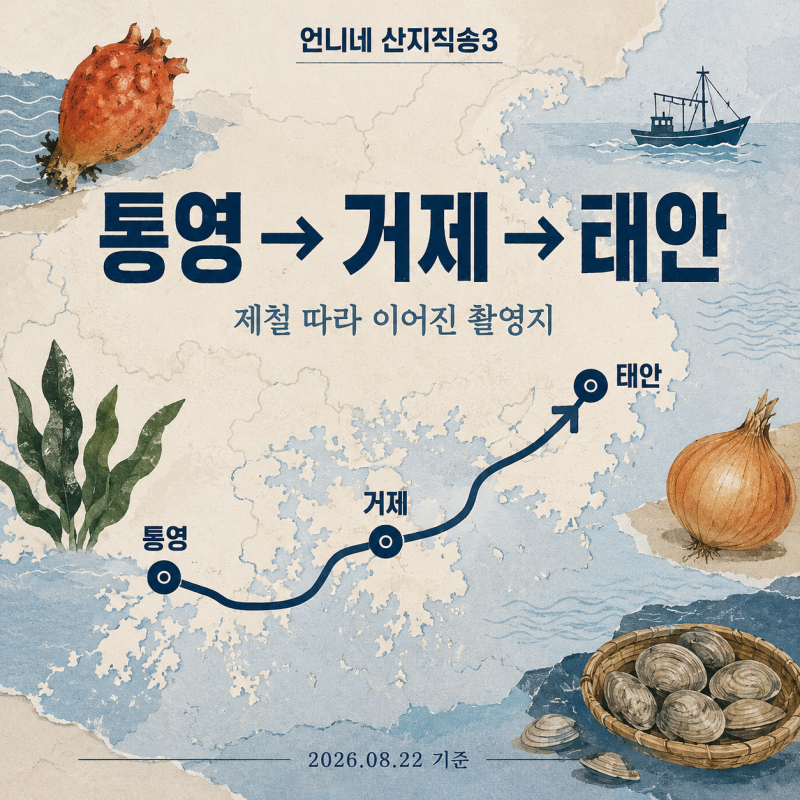 언니네 산지직송3 촬영지 어디? 통영·거제·태안 제철 음식과 시장·맛집 여행코스